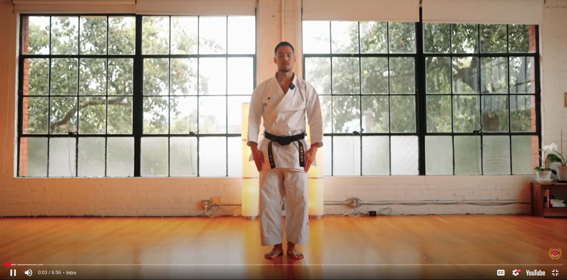 KARATE 15 Basic Movements